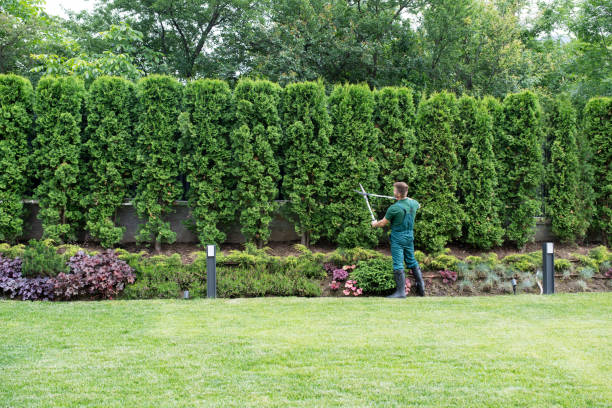 Best Seasonal Cleanup (Spring/Fall)  in Plainfield, NJ