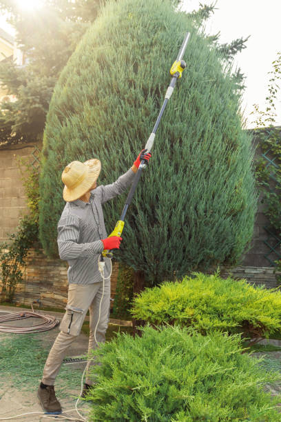 Best Aeration Services  in Plainfield, NJ